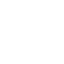 Professional Security Guards